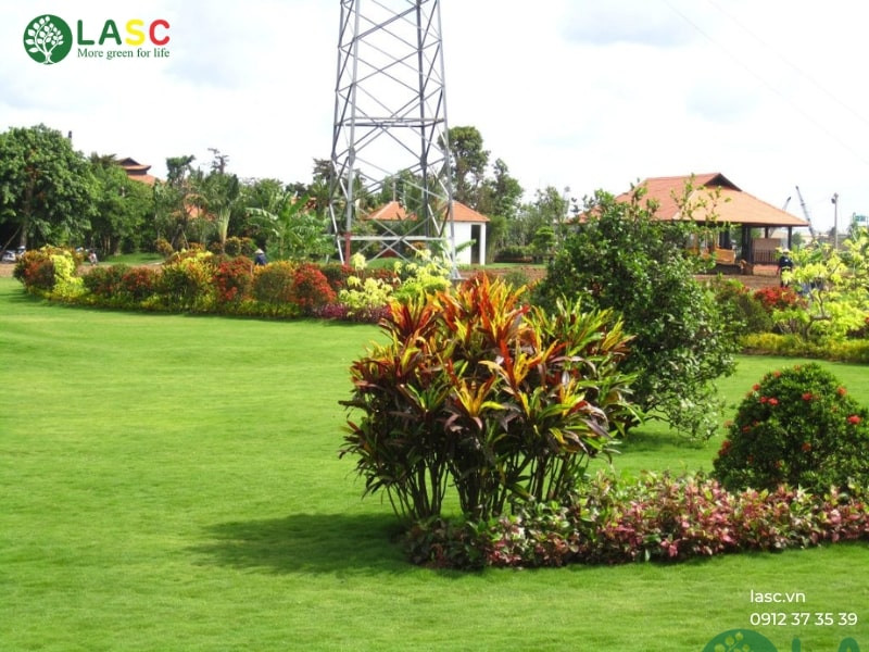 dịch vụ chăm sóc cây cảnh tphcm