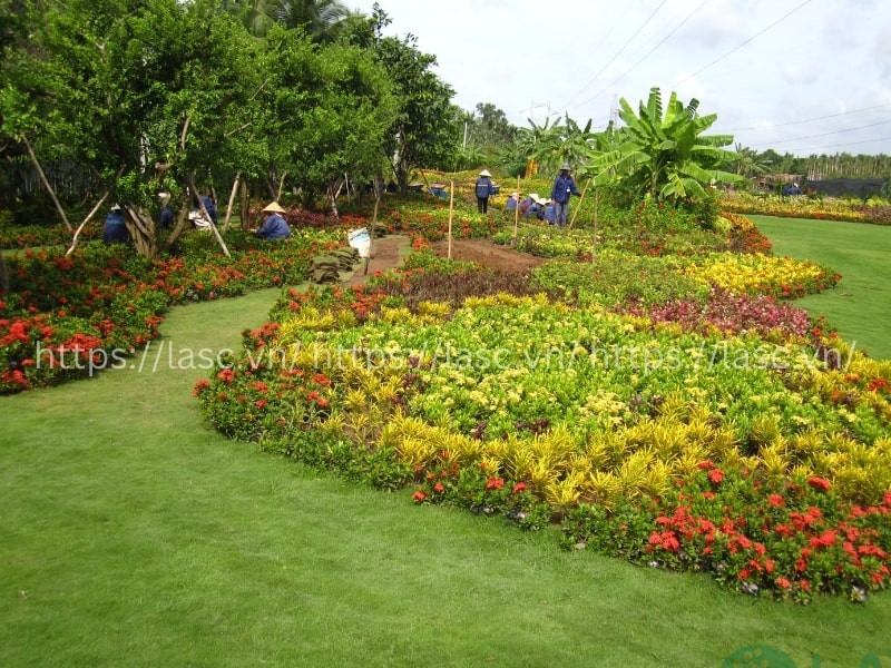 thi công tiểu cảnh