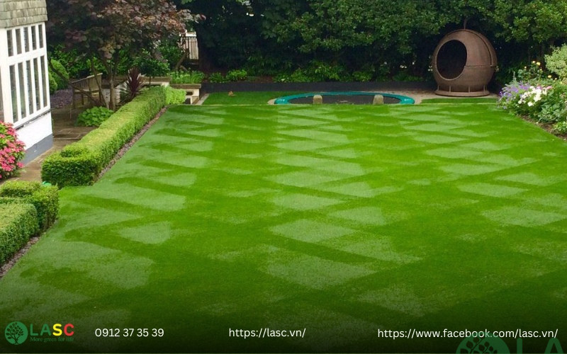 thiết kế thi công sân vườn 