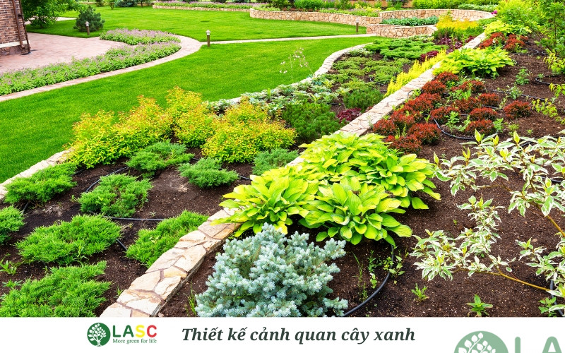 thiết kế cảnh quan sân vườn