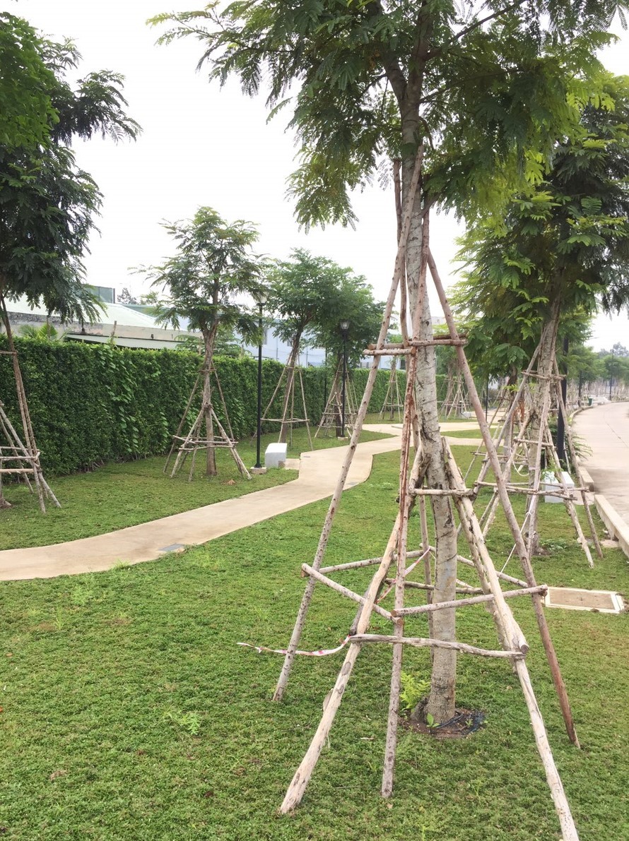 dự án bảo dưỡng cảnh quan dự án bảo dưỡng cảnh quan