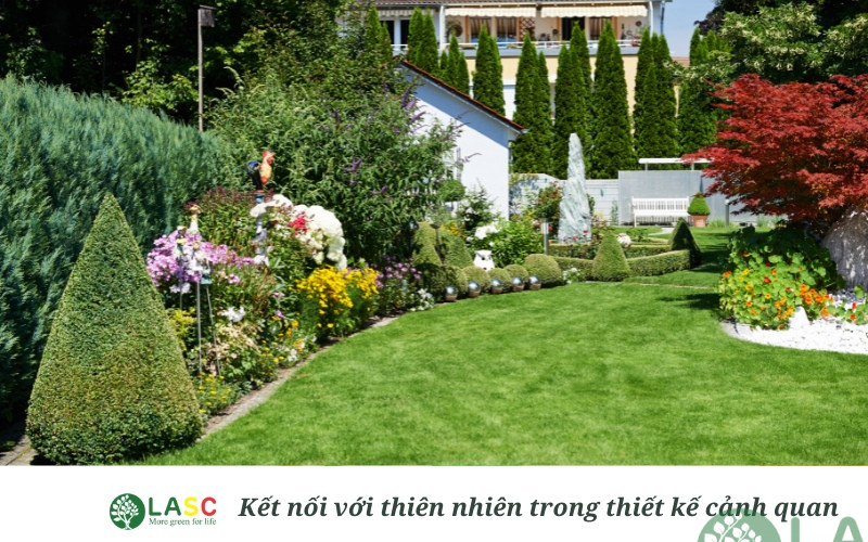 Thiết kế thi công cảnh quan