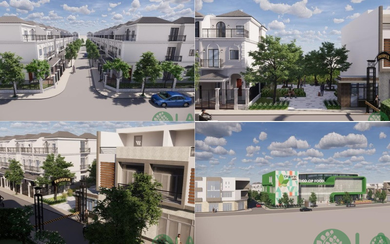 tư vấn thiết kế cảnh quan 