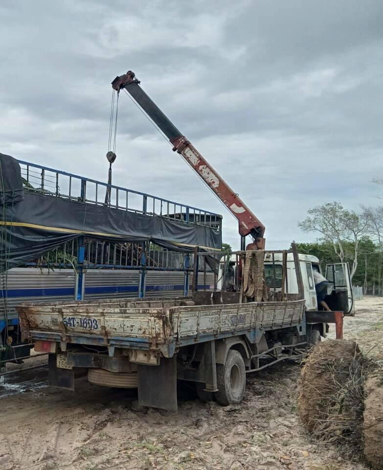 Thiết kế thi công cảnh quan đẹp