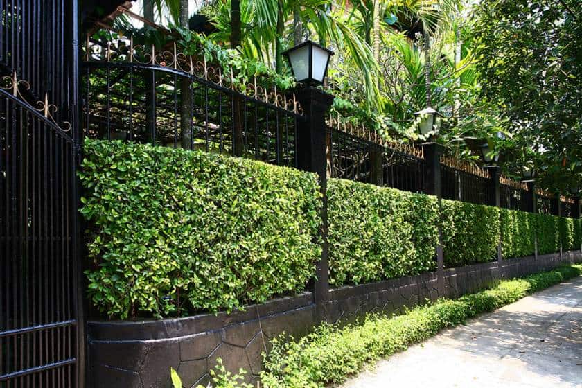 mẫu ngoại thất đẹp dành cho nhà mặt phố