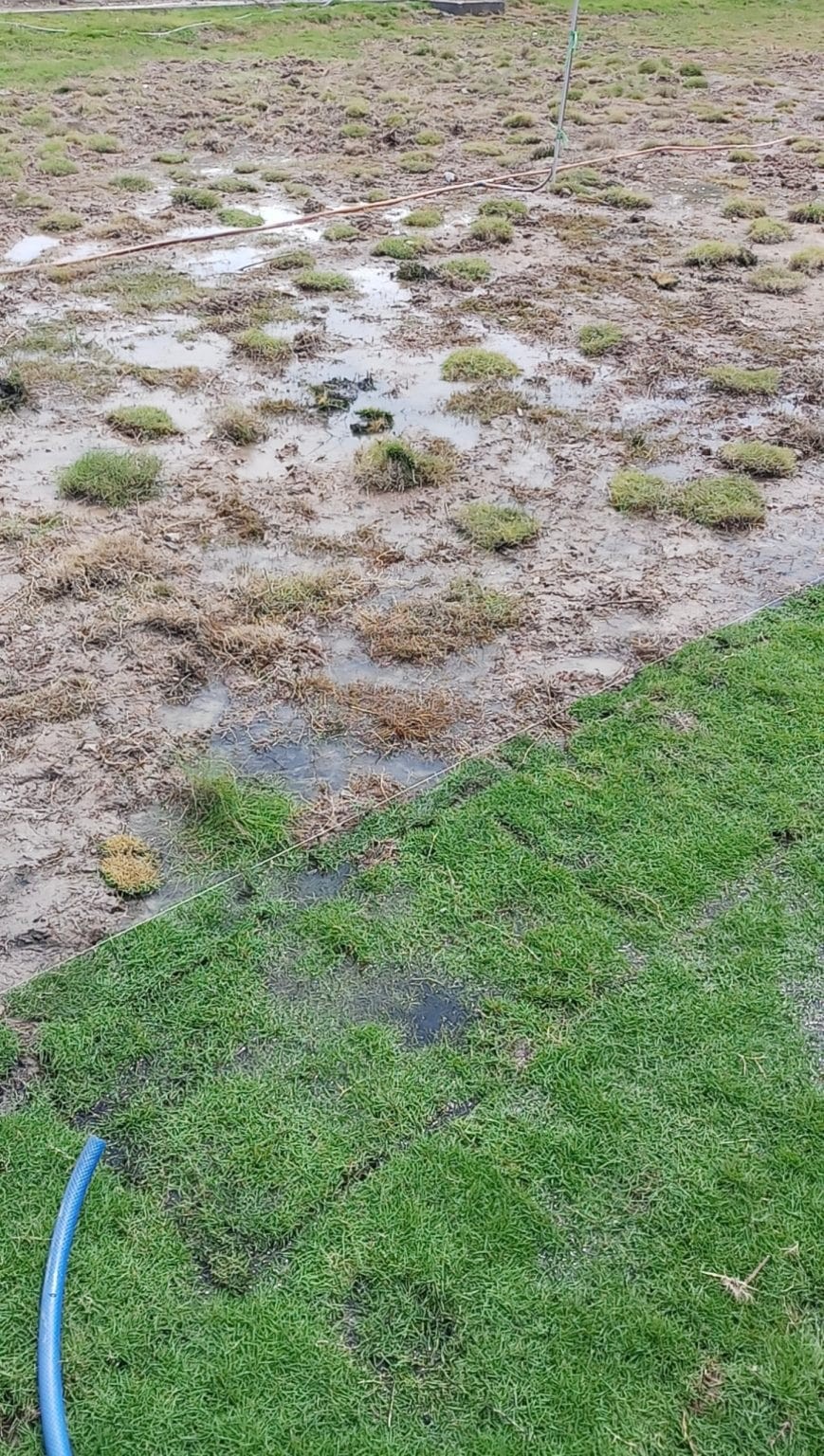 cảnh quan sân bóng