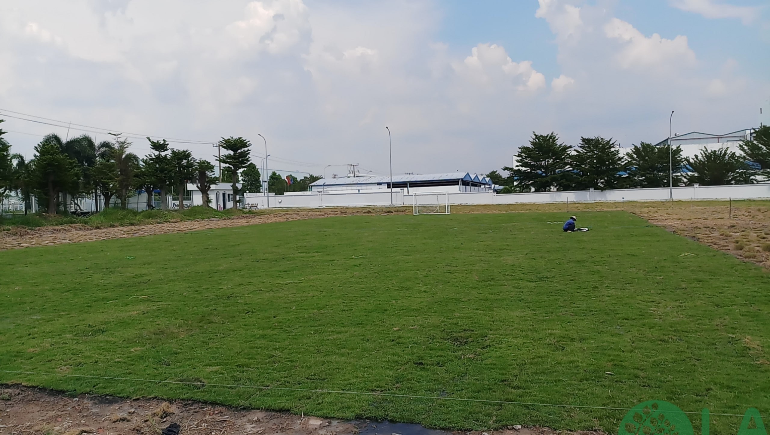 thiết kế cảnh quan sân bóng