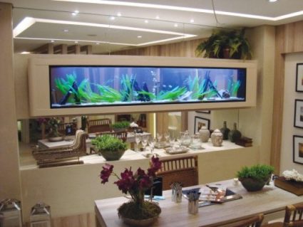 Tiểu Cảnh Vách Tường Đẹp