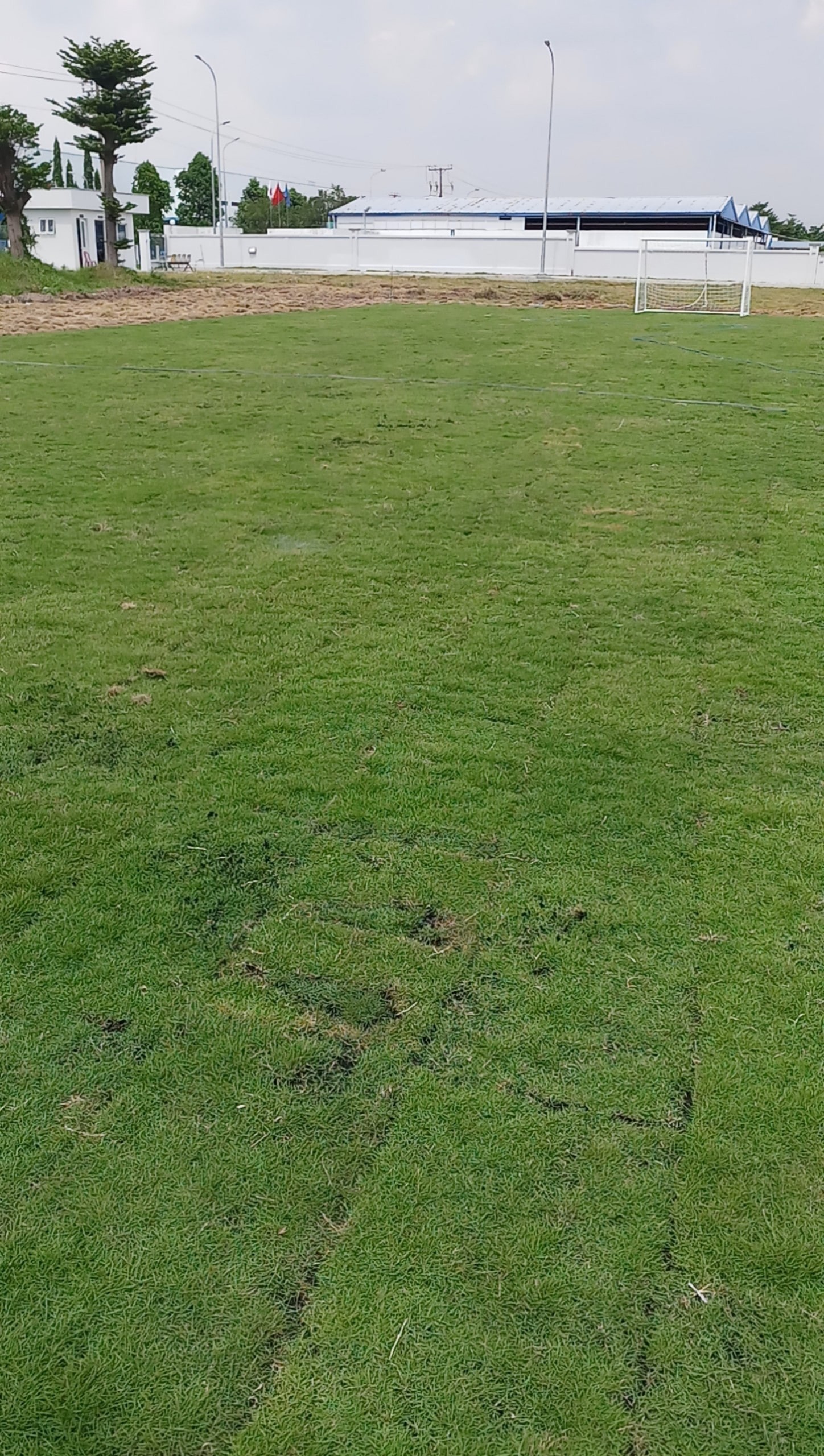 cảnh quan sân bóng