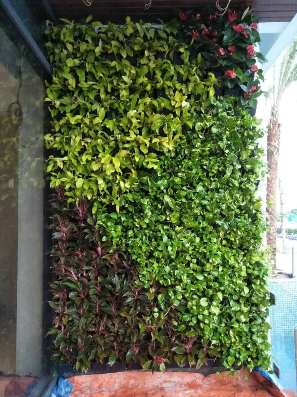 trang trí cỏ trên tường