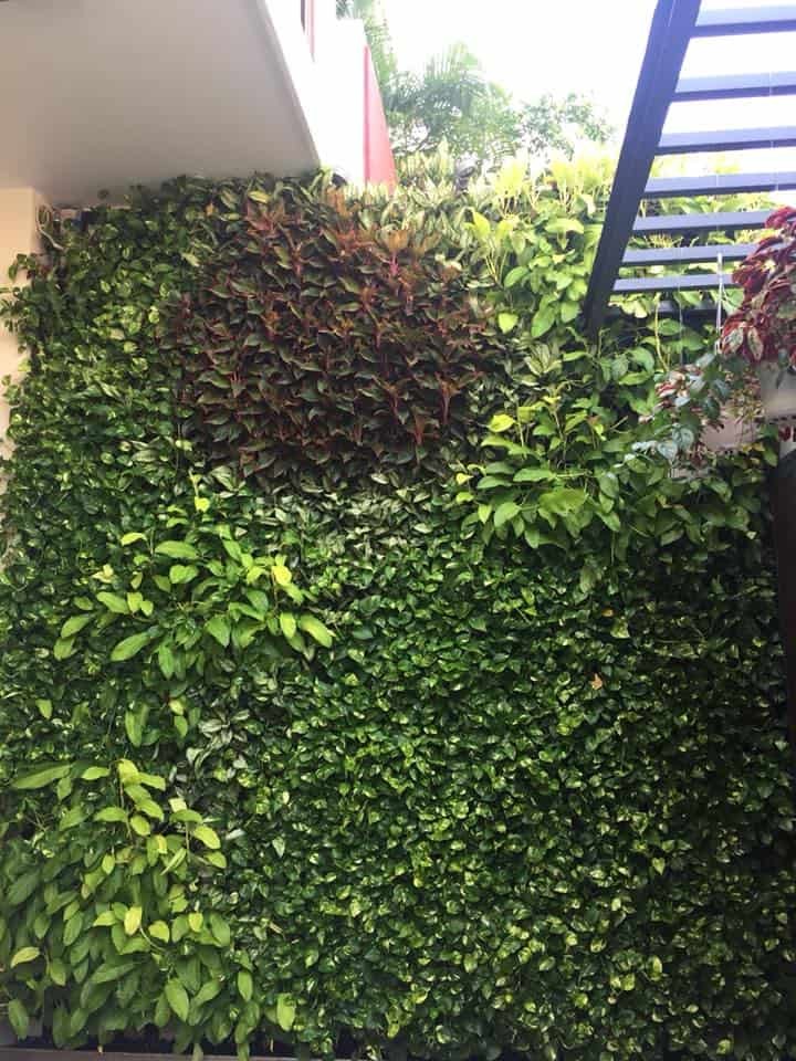 cách trang trí thảm cỏ