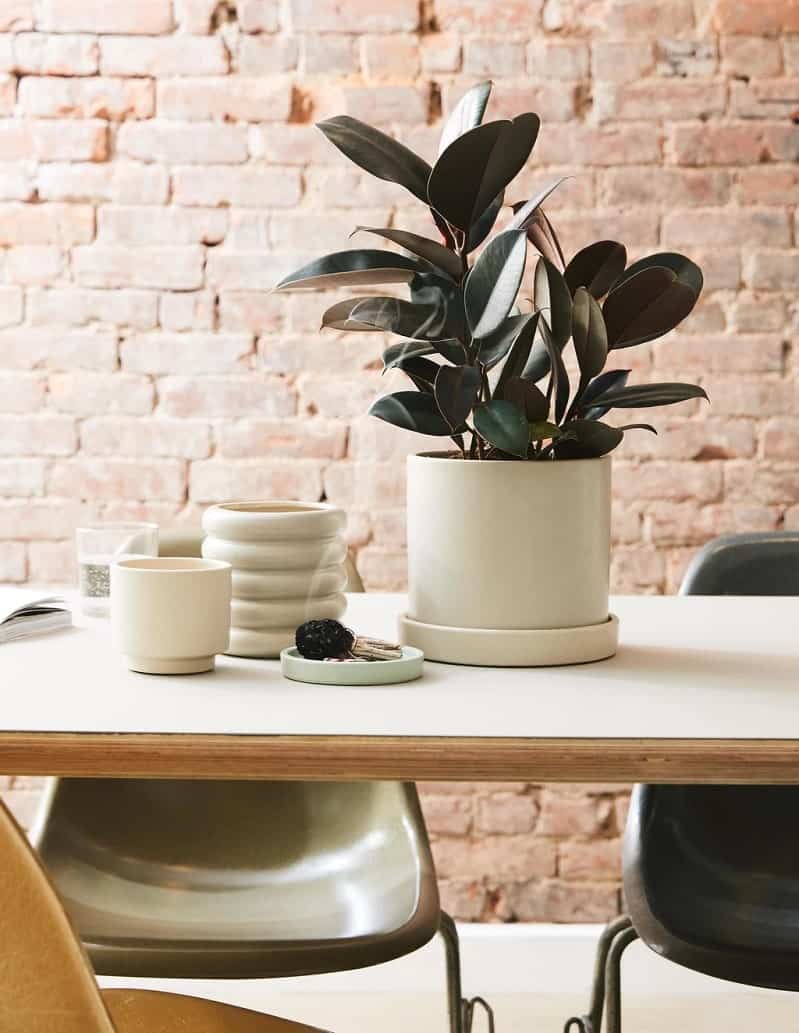 tiểu cảnh ở văn phòng