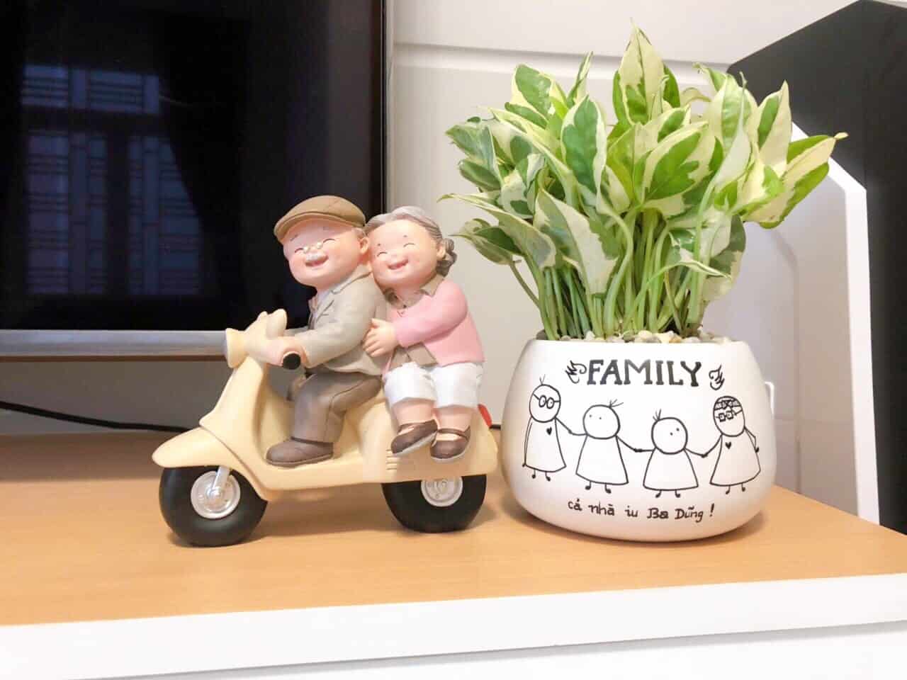 tiểu cảnh ở văn phòng