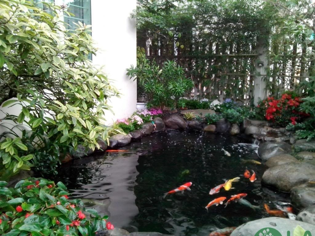 làm trong nước hồ cá ngoài trời