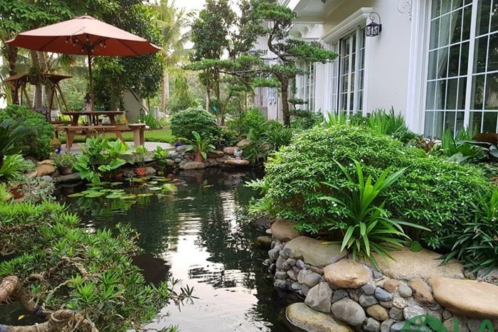 cách làm trong nước hồ cá cảnh