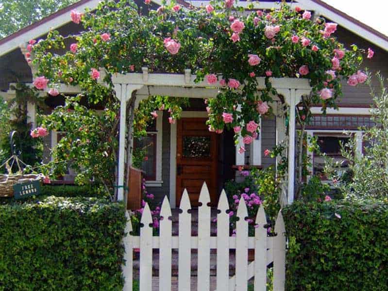 sân vườn kiểu dáng châu Âu hiện đại