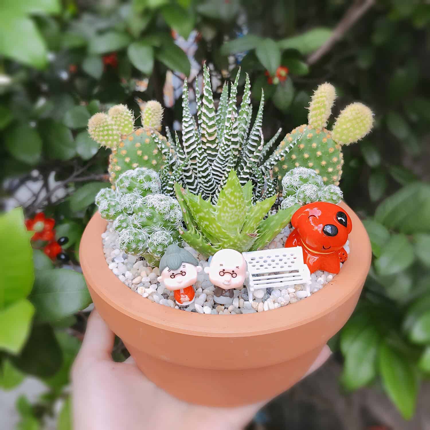 tiểu cảnh để bàn làm việc