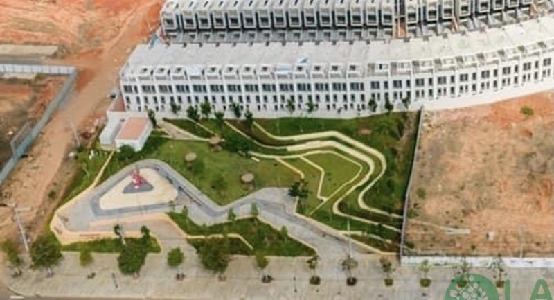 Tổng quan khu vực thi công cây xanh