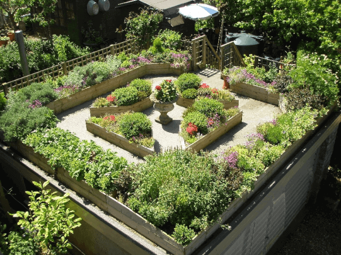 cấu tạo vườn trên mái