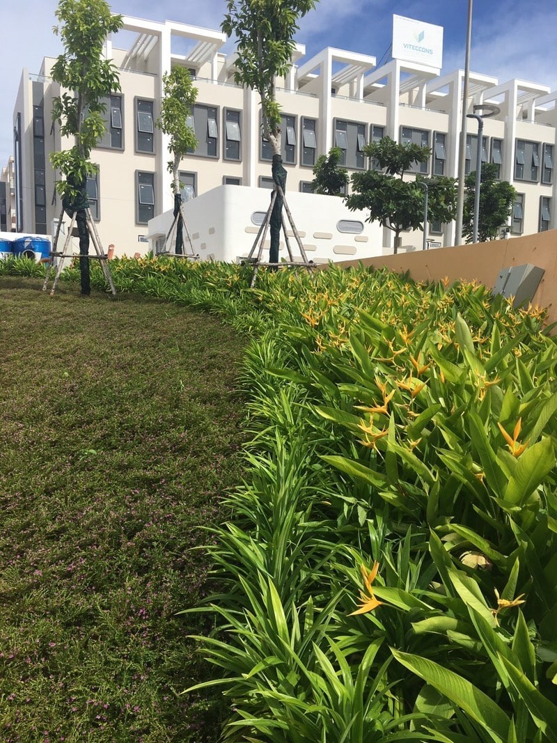 Thiết kế cây xanh xung quanh khu dân cư