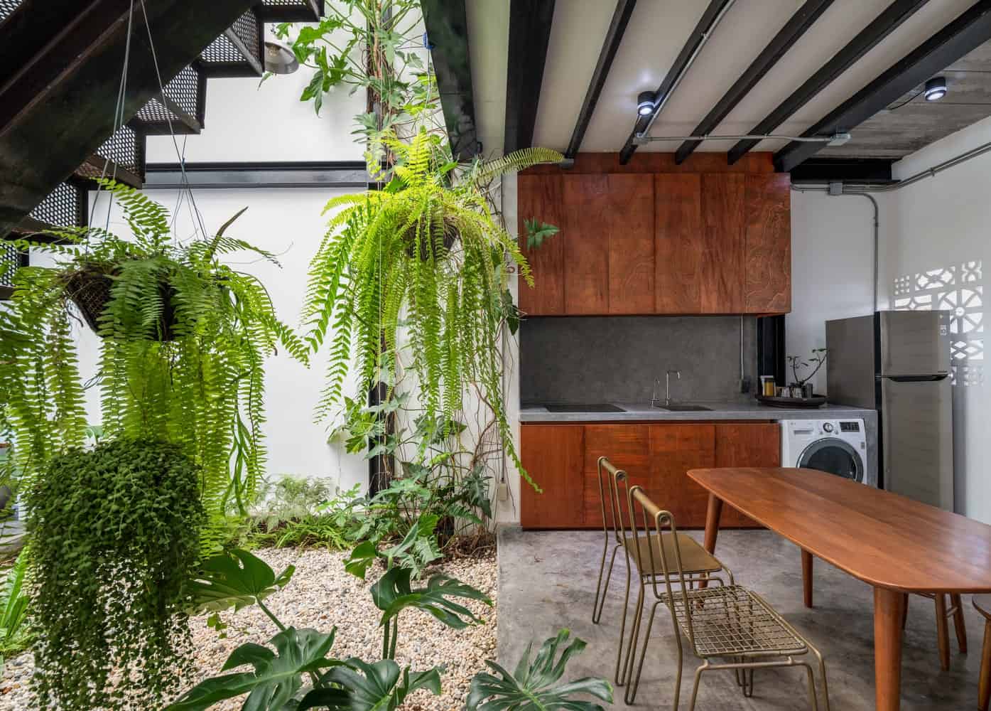 mẫu thiết kế tiểu cảnh giếng trời nhà ống