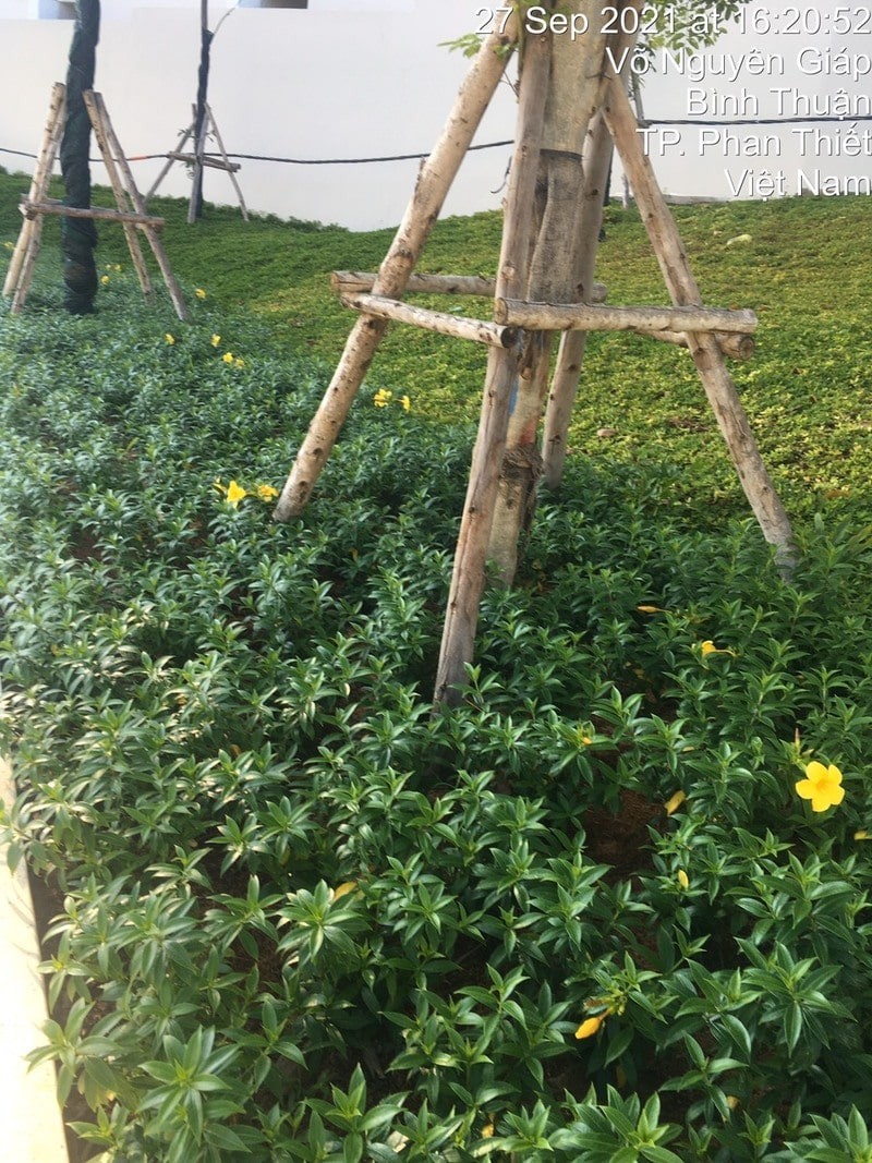 Một phần thiết kế của LASC tại dự án