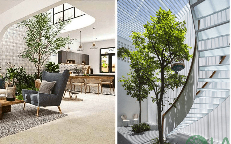 mẫu thiết kế tiểu cảnh giếng trời nhà ống