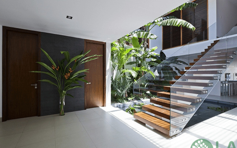 tiểu cảnh giếng trời nhà ống