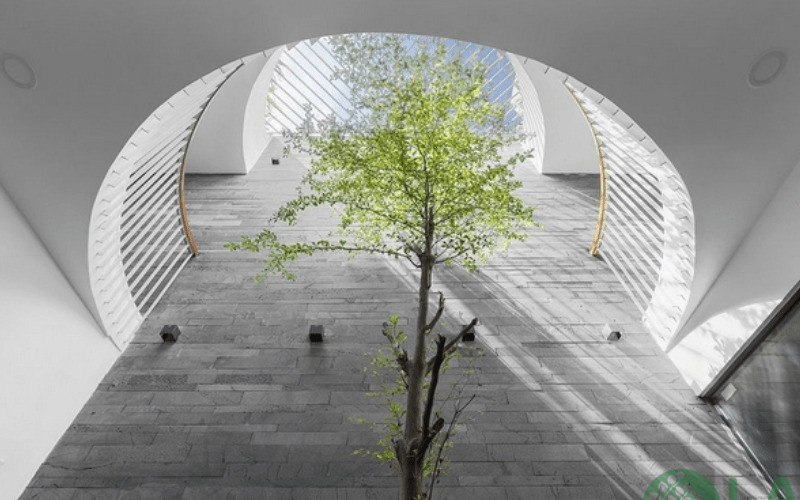 tiểu cảnh giếng trời nhà ống