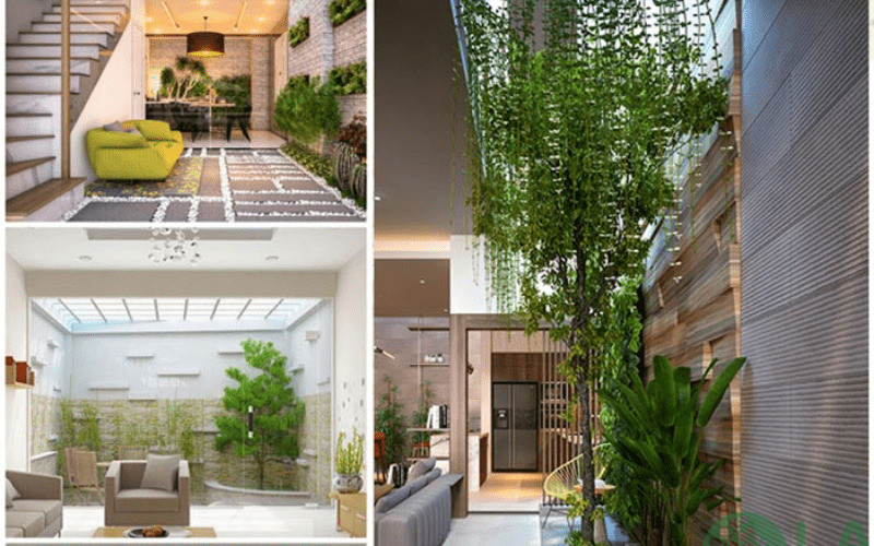 mẫu thiết kế tiểu cảnh giếng trời nhà ống