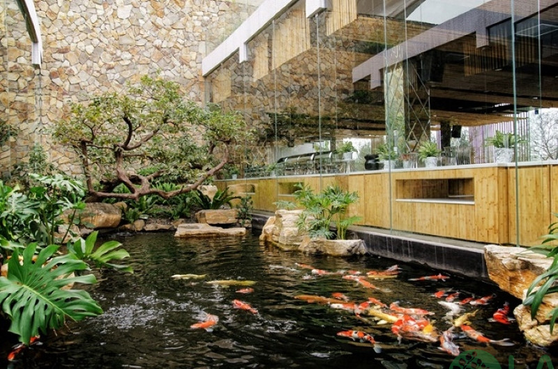 quán cà phê sân vườn đơn giản