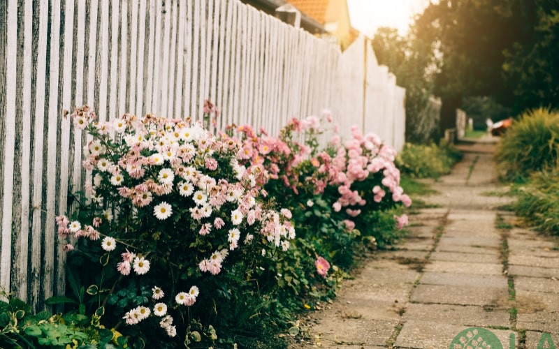 các phong cách thiết kế sân vườn