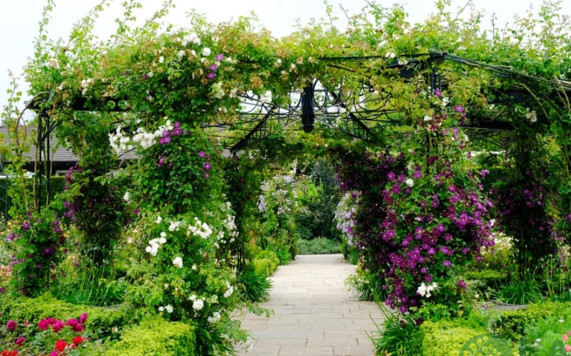 các phong cách thiết kế sân vườn