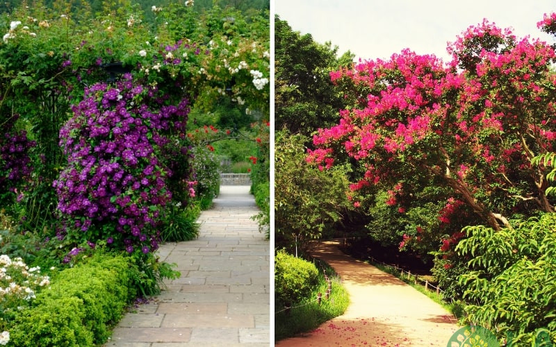 các phong cách thiết kế sân vườn