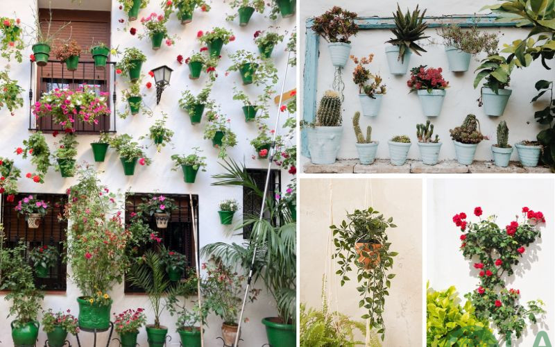 thiết kế cây xanh trong nhà