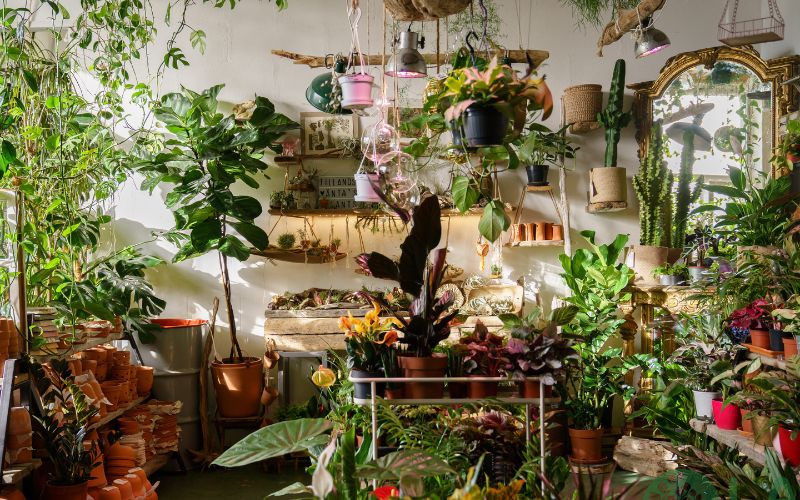 thiết kế cây xanh trong nhà