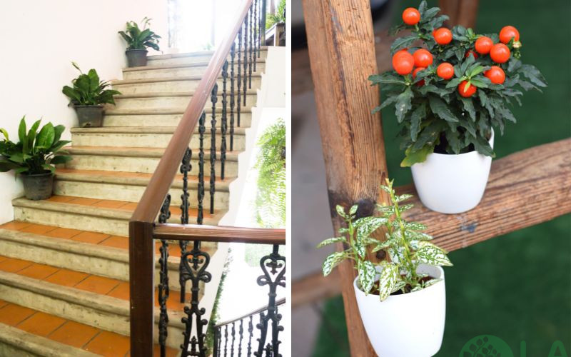 thiết kế cây xanh trong nhà