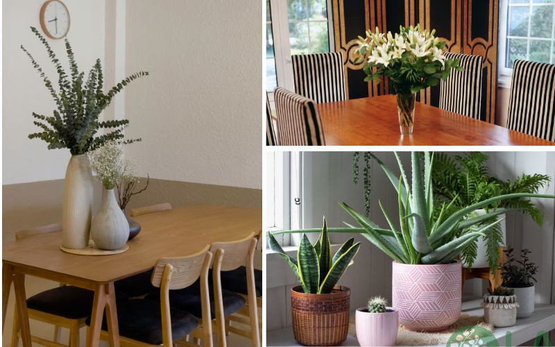 thiết kế cây xanh trong nhà