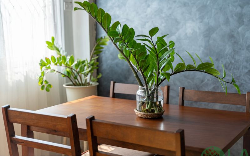 thiết kế cây xanh trong nhà