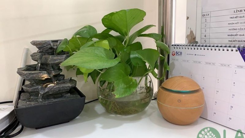 phụ kiện sân vườn