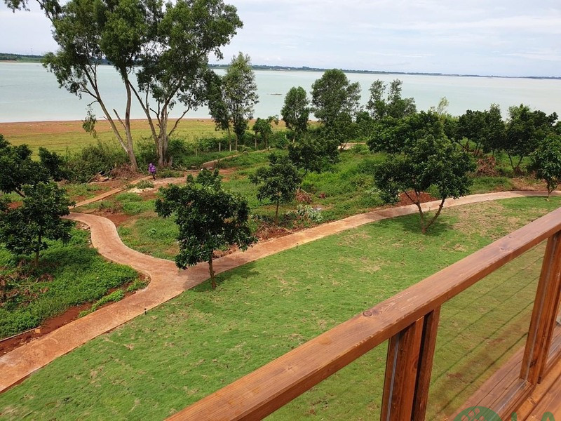 Thi công cảnh quan Avocado Retreat