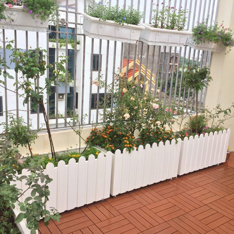 thiết kế hàng rào sân vườn