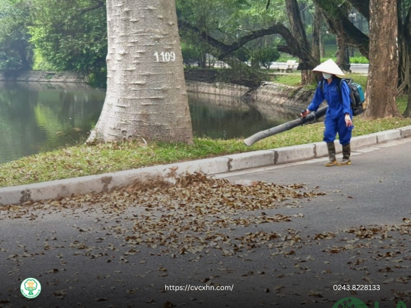 công ty cây cảnh hà nội