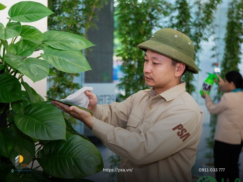 công ty cây xanh đô thị hà nội