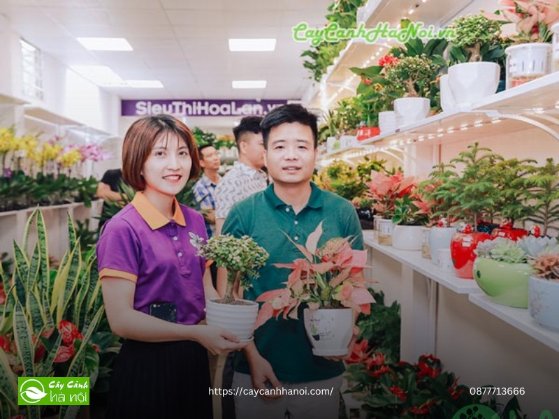 công ty cây xanh hà nội