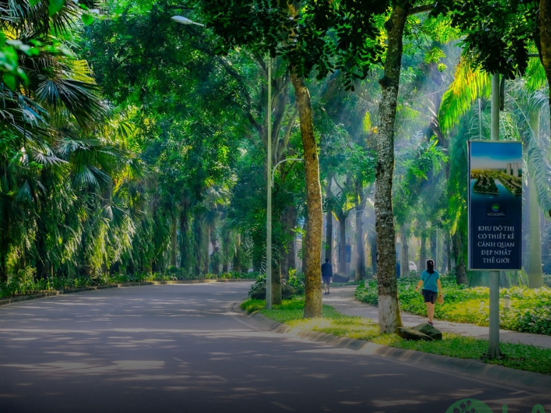 công ty cây xanh đô thị hà nội