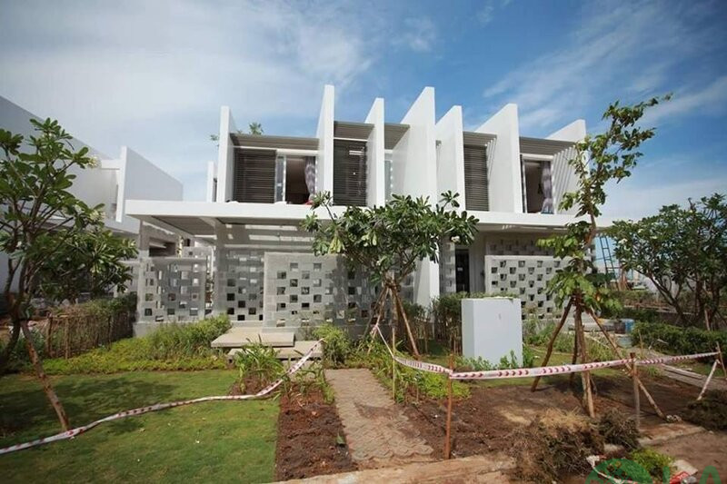 công ty cây xanh thành phố công ty cây xanh thành phố