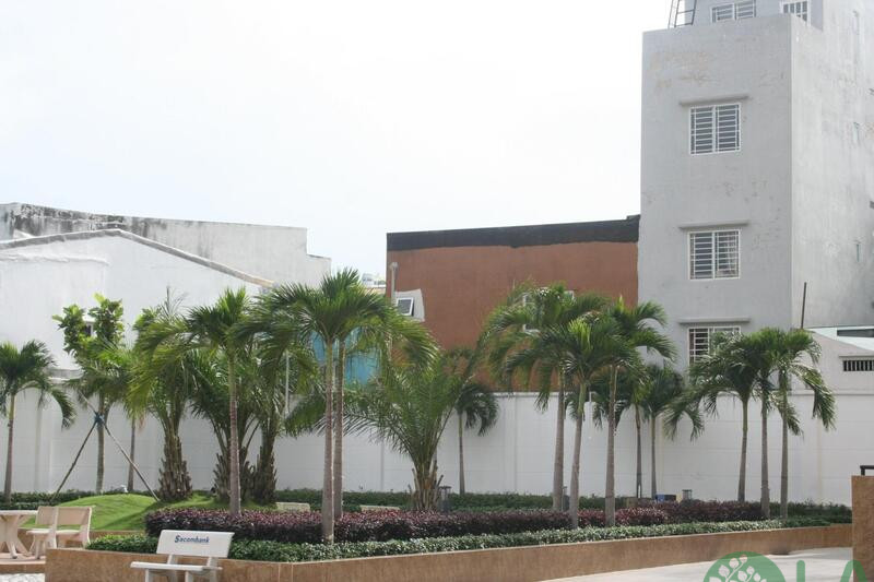 công ty công viên cây xanh công ty công viên cây xanh