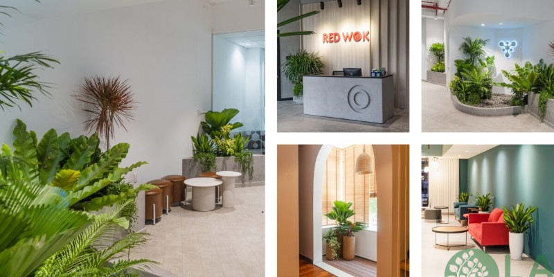 công ty cho thuê cây xanh văn phòng tphcm 