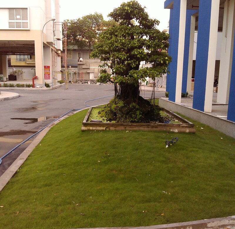 cảnh quan chung cư